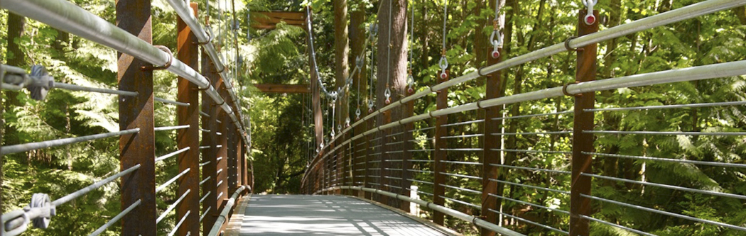 Bellevue Botanical Gardens suspension bridge