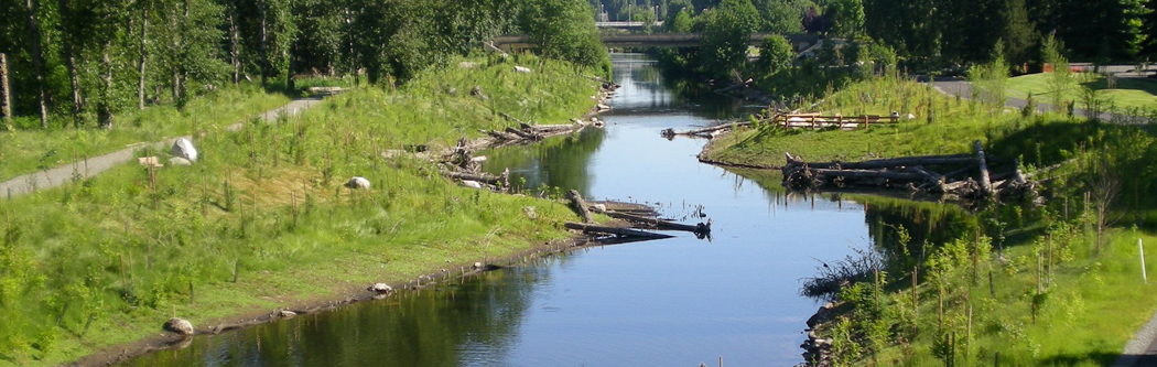 Stormwater Sammamish River Habitat imrovement, Redmond